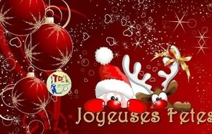 JOYEUSES FÊTES 