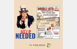 DOUBLE LOTO TCC 🎡