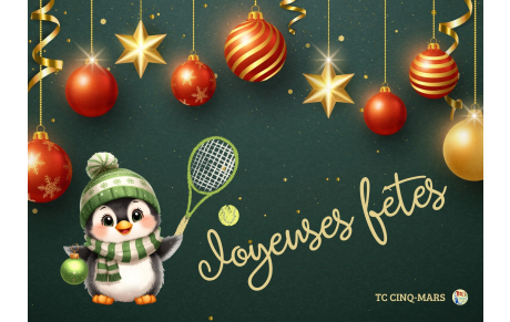 JOYEUSES FÊTES ! 💫✨